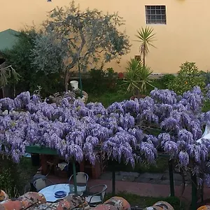 Apartment La Tinaia